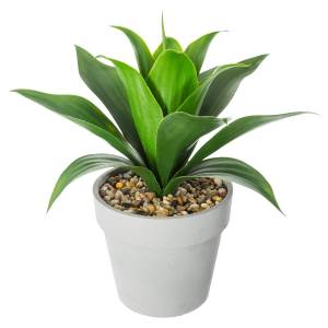 Künstliche Aloe Vera Grau - Keramik - 37 x 35 x 37 cm