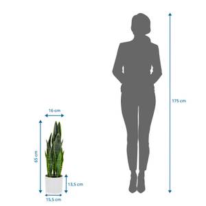 Kunstpflanze SANSEVIERIA Grün - Kunststoff - 16 x 65 x 16 cm