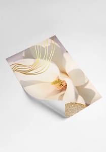 Glitzernde Palme Gold Poster Set Papier - 70 x 50 x 70 cm