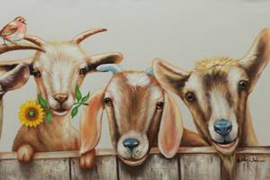 Tableau peint Curious Flock of Goats Marron - Blanc - Bois massif - Textile - 100 x 50 x 4 cm