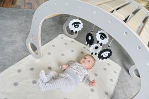 Babygym Zubehör Kapitän 3er-Set Grau