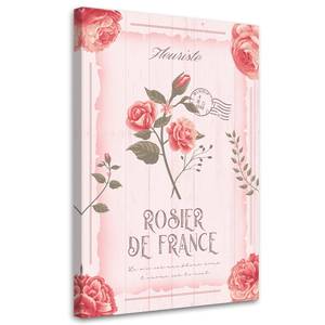 KUNSTDRUCK Rosier de France 80 x 120 cm