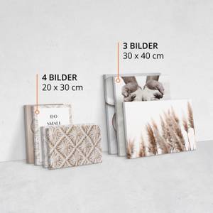 Leinwandbilder Set Sand Zitate Pflanzen Beige - Schwarz - Braun - Textil - 110 x 80 x 80 cm