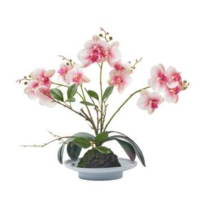Künstliche pink-weiße Phalaenopsis Pink - Kunststoff - 25 x 38 x 38 cm