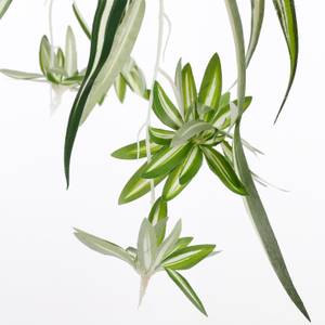 Plante artificielle Chlorophytum Gris - Matière plastique - 45 x 45 x 45 cm