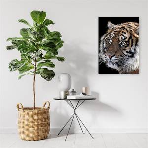 Bild auf leinwand Tiger Natur Tiere 70 x 100 cm