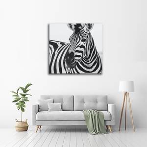 Leinwandbild Schnauze des Zebras Grau