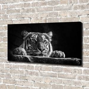 Wandbild Tiger 140 x 70 cm