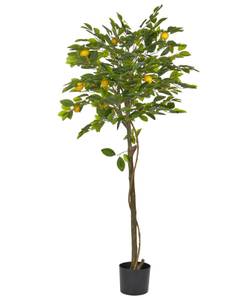 Kunstpflanze LEMON TREE 66 x 156 x 66 cm