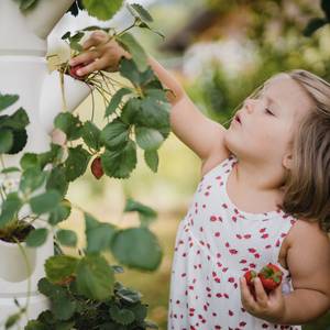 Sissi Strawberry classic Weiß - Höhe: 113 cm