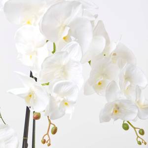Künstliche weiße Phalaenopsis-Orchidee Weiß - Kunststoff - 48 x 82 x 82 cm