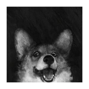 Illustration Hund Corgi Schwarz Weiß 140 x 140 cm