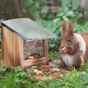 Eichhörnchen Futterhaus Metalldach Braun - Silber - Durchscheinend