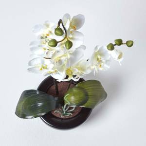 Kunstblume Orchidee Gesteck mit topf Beige - Kunststoff - 23 x 54 x 54 cm