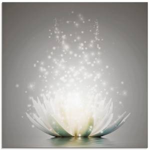 Glasbild Magie der Lotus-Blume Grau - 40 x 40 cm