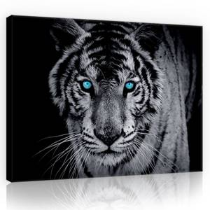 Leinwandbild Tiger Tiere Wohnzimmer 60 x 40 cm