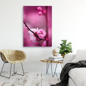 Bild auf leinwand Rosa Blumen Pflanzen 80 x 120 cm