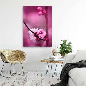 Bild auf leinwand Rosa Blumen Pflanzen 60 x 90 cm