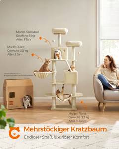 Katzenbaum Bissau Beige