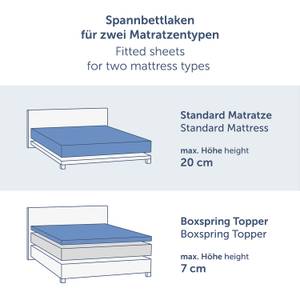 Spannbettlaken Molly (2er Set) Anthrazit - 200 x 12 x 90 cm - Anzahl Teile im Set: 2