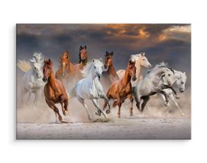 Image Sur Toile Chevaux au Galop Désert 90 x 60 x 60 cm