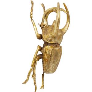 Wandschmuck Atlas Beetle Gold Gold - Kunststoff - 26 x 35 x 15 cm