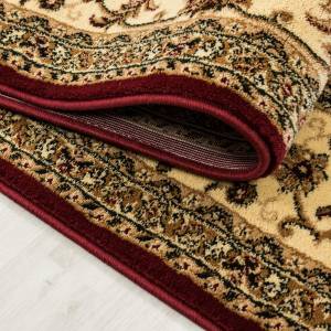 Tapis orient style BISKO 1 120x170 rouge Rouge - 120 x 170 cm