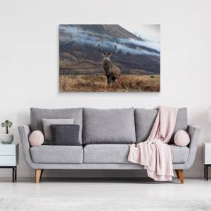 Leinwandbild Natur Hirsch BERGE Natur 3D 120 x 80 x 80 cm