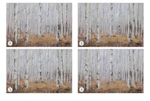 Tableau peint à la main Falling Leaves Marron - Blanc - Bois massif - Textile - 120 x 80 x 4 cm