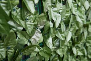Sichtschutz mit Blättern Lorbeer Grün - Kunststoff - 200 x 100 x 5 cm
