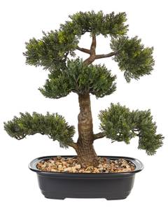 Plante artificielle PINE Noir - Vert - Matière plastique - 34 x 44 x 7 cm