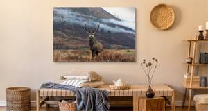 Leinwandbild Natur Hirsch BERGE Natur 3D 30 x 20 x 20 cm