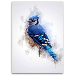 Leinwandbild Blauer Sperling Cornel Vlad 40 x 60 cm