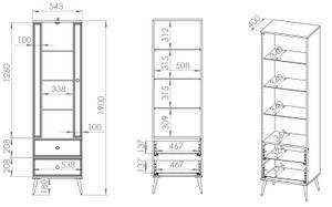 Standvitrine GOLDIN Weiß - Holzwerkstoff - 55 x 190 x 40 cm