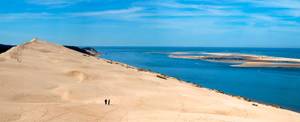 Tableau panorama design dune du pyla 80 x 30 cm - Fibres naturelles
