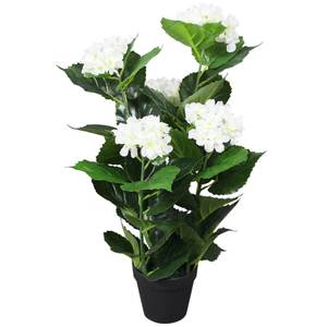 Plante décorative 295878-1 Blanc