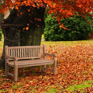 Banc de jardin Jackson V2 Bois manufacturé - 150 x 93 x 61 cm