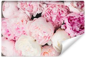 Fototapete PEONIES Pfingstrosen Blumen 368 x 254 x 254 cm