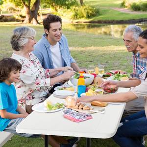 Klappbarer Picknicktisch OP70672 Weiß