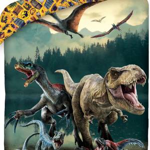 Bettwäsche Jurassic World Dinosaurier Grau - Grün - Gelb - Textil - 135 x 200 x 1 cm