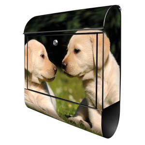 Briefkasten Stahl Labrador Schwarz - Metall - 38 x 46 x 13 cm