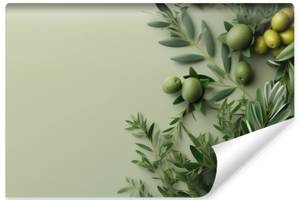 Papier Peint Feuilles Olives Plantes 3D 400 x 280 x 280 cm