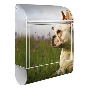 Briefkasten Stahl Französische Bulldogge Weiß - Metall - 38 x 46 x 13 cm