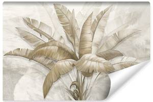 Papier peint Feuilles tropicales 520 x 318 x 318 cm