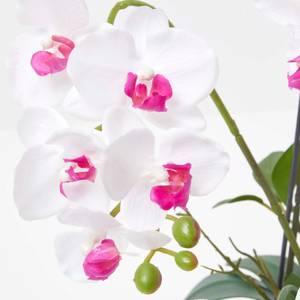 Künstliche weiße Phalaenopsis-Orchidee Weiß - Kunststoff - 26 x 52 x 52 cm