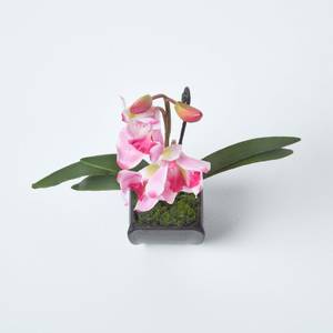 Kunstblumen Cymbidium Klein Orchidee Pink - Kunststoff - 8 x 32 x 32 cm