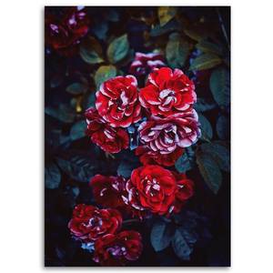 Leinwandbild Rote Rosen Blumen Pflanzen 70 x 100 cm