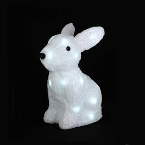 Lapin Lumineux en Acrylique –