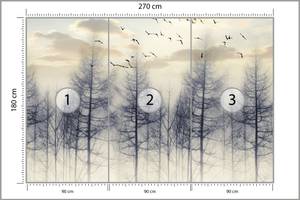 Fototapete BÄUME IM NEBEL Wolken Vögel 270 x 180 x 180 cm