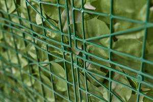 Sichtschutz mit Blättern Efeu Grün - Kunststoff - 300 x 100 x 5 cm